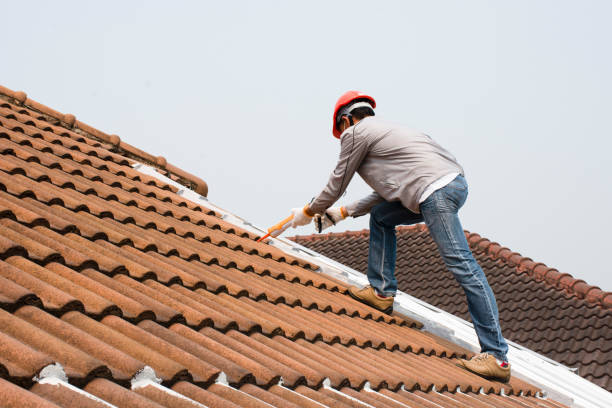 Best Roof Installation  in Wasco, CA